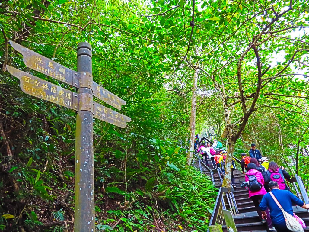 好療癒及老少咸宜的步道：百吉林蔭步道_551123