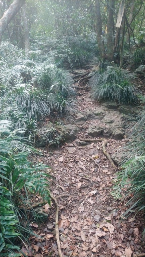 難惹的女仍山_1777351