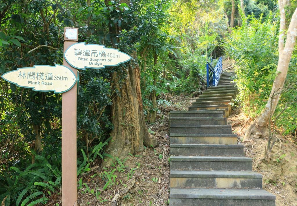 新店和美山_391280