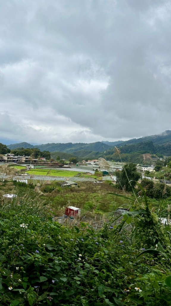 馬那邦山O走_2370130