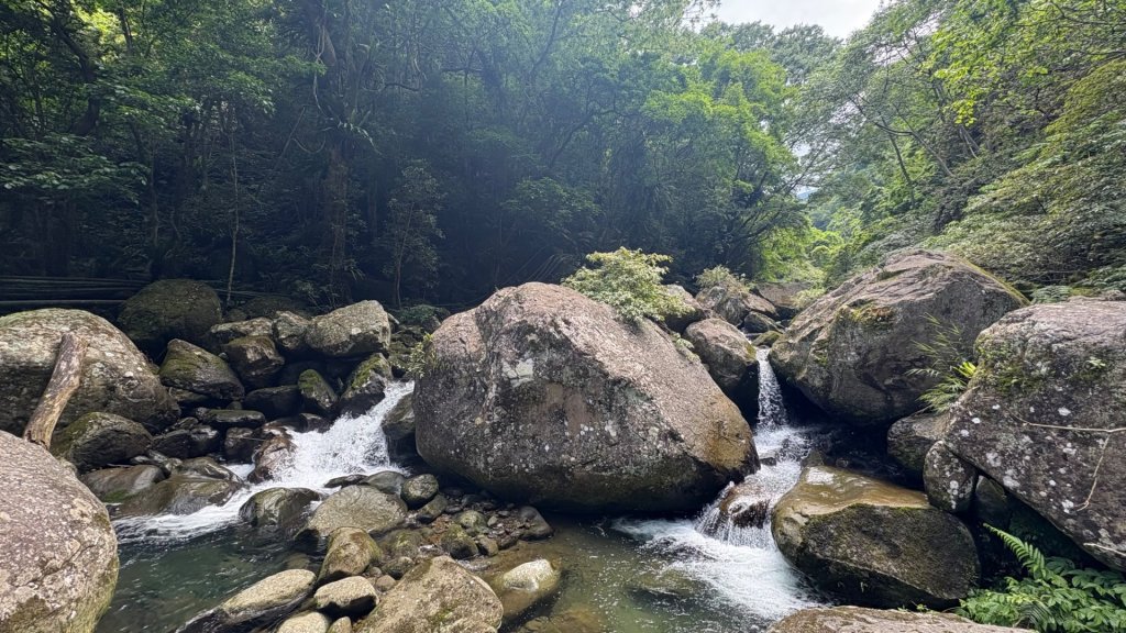 戲水（鴛鴦_2786676