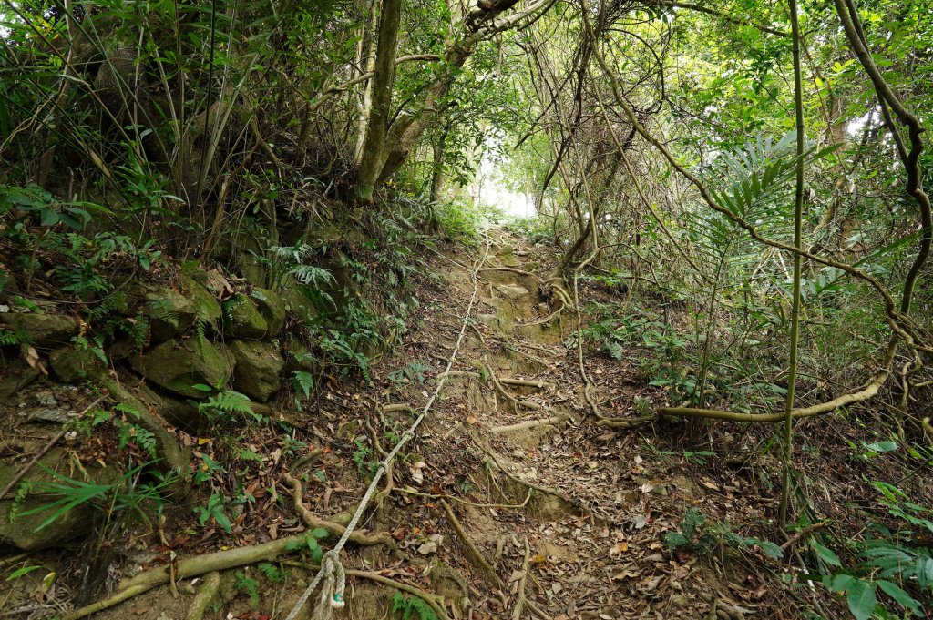 新竹 關西玉山、赤柯山、東獅頭山、西獅頭山、馬福山_2665917