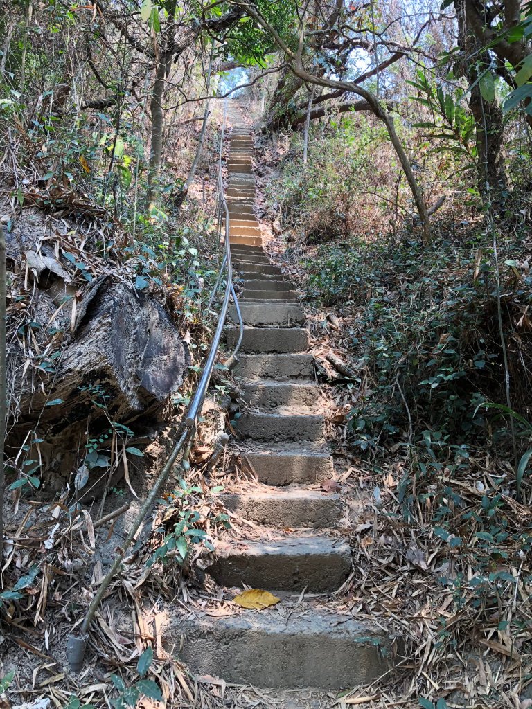 2021.04.03觀音山步道_1497209