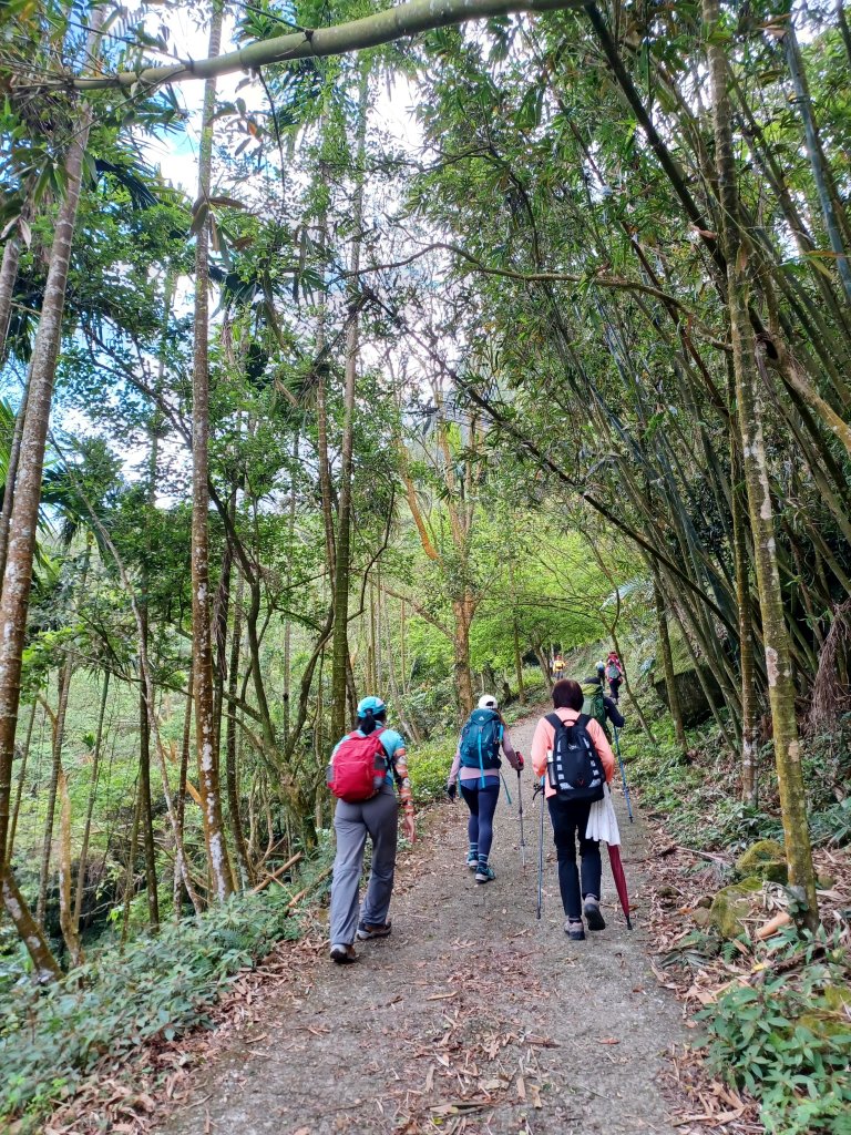 【台南白河】雞籠山+九龍山+大凍山O繞縱走_2797122
