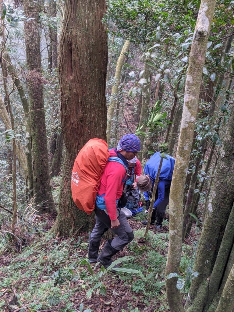 露門山路門_1321503