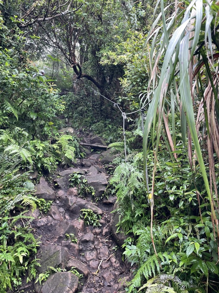 觀音山秘境_2634052