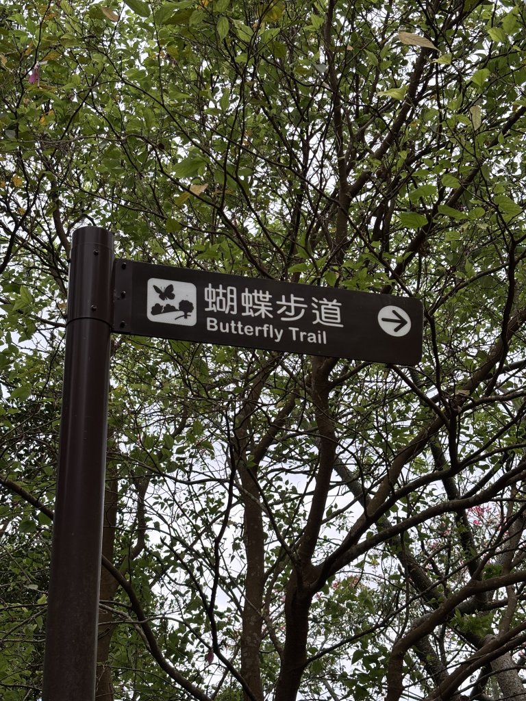 2025-09-06 牛港稜山步道_2883854