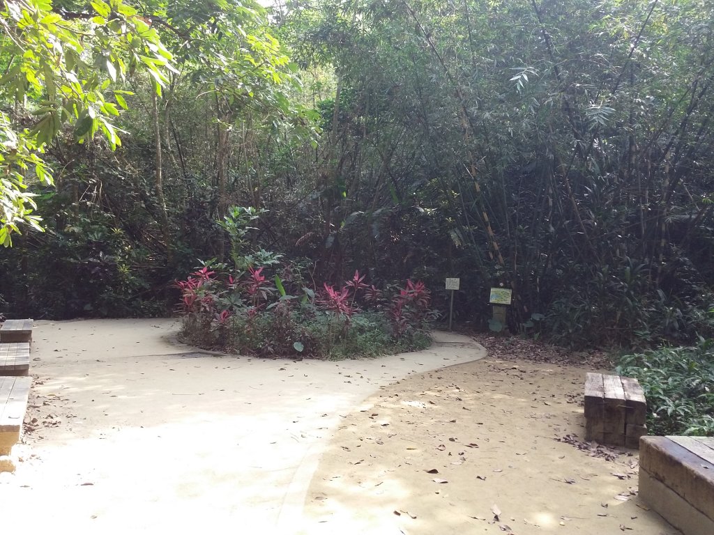 嘉義蘭潭~筍寮步道_736353