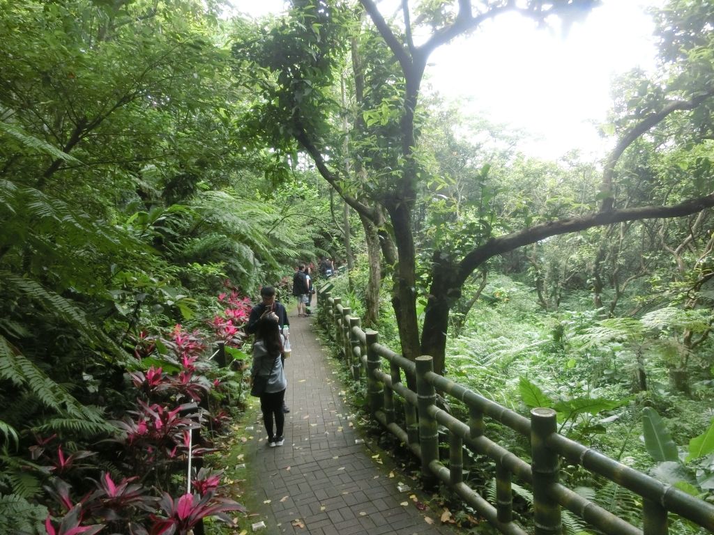 承天禪寺．天上山．桐花公園_123410