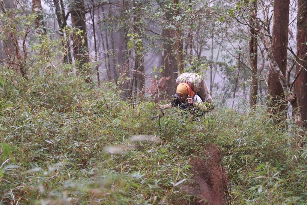 豐山眠月：石夢谷連走水漾千人洞_2757706