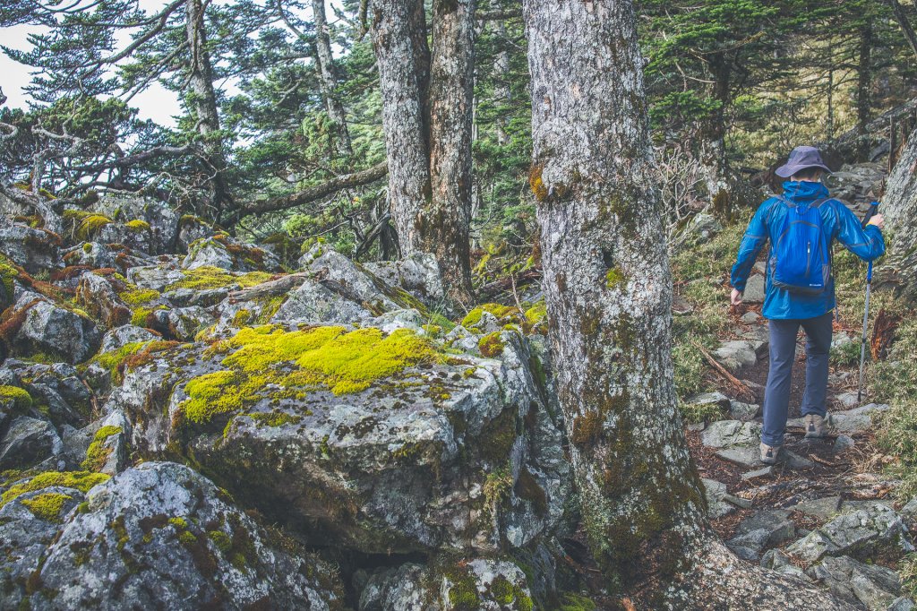 20200920～21-[嘉義] 玉山主西北峰_1632948