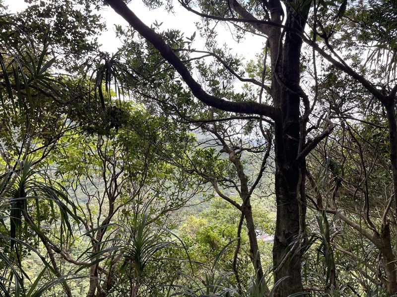 蛇子形古道_2511184