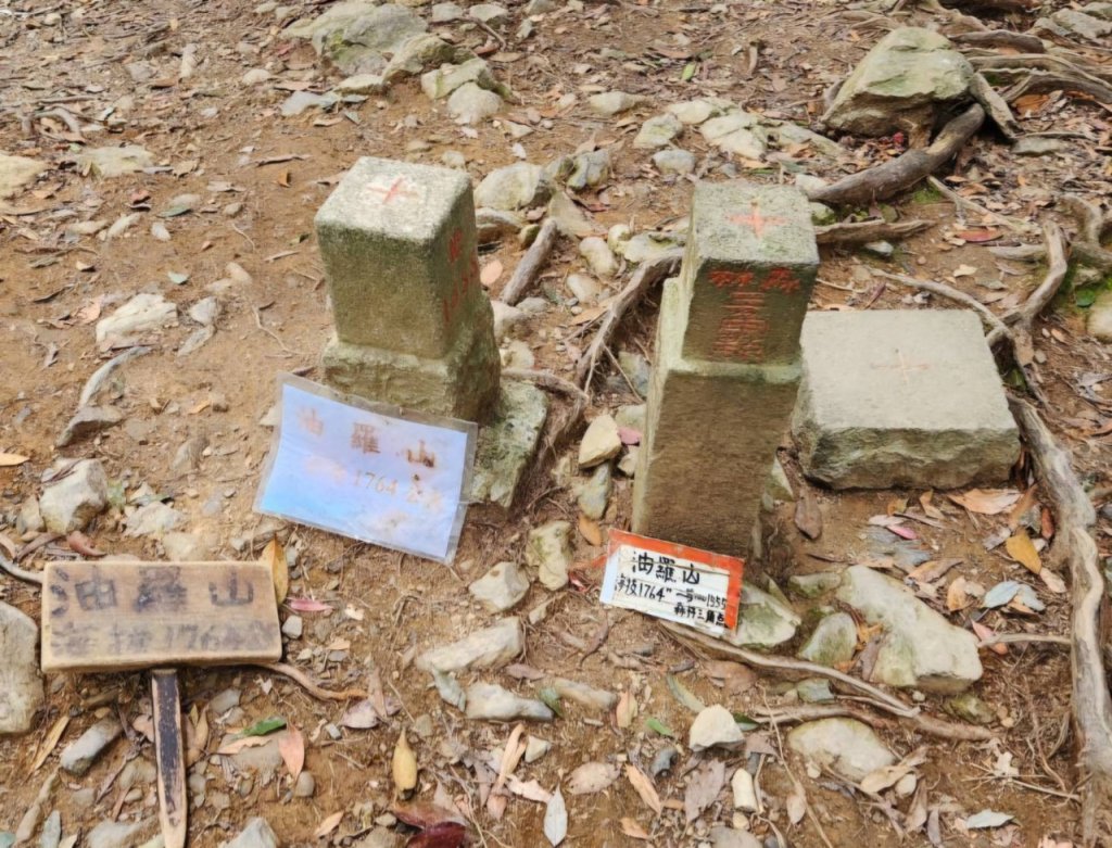 【中級山】來過一次，你不會忘記它的名字，新竹油羅山_2743732