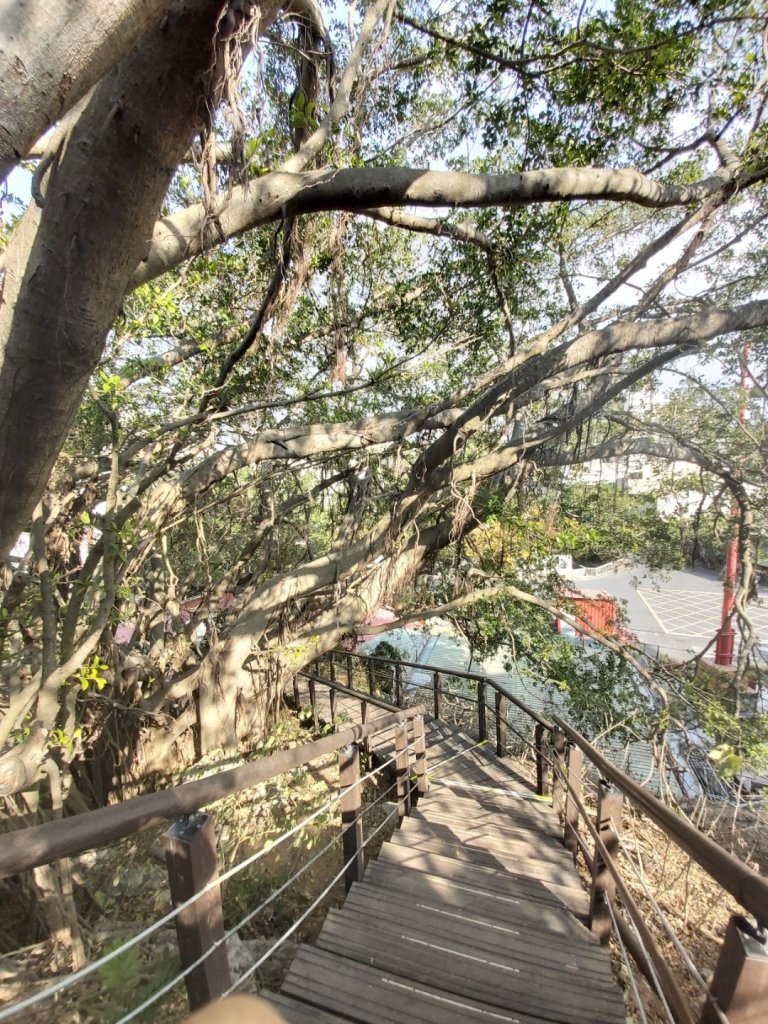 2020.01.23壽山步道(柴山步道)_917837