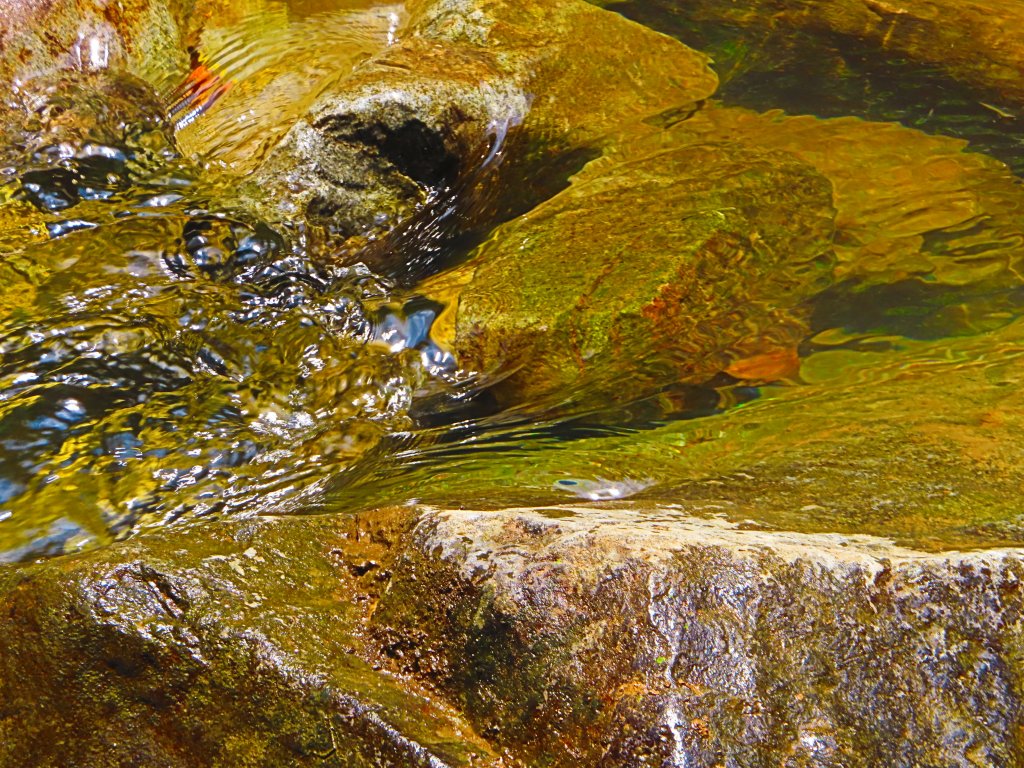 夏日水圳古道之旅：走坪頂古圳步道消暑去_637446