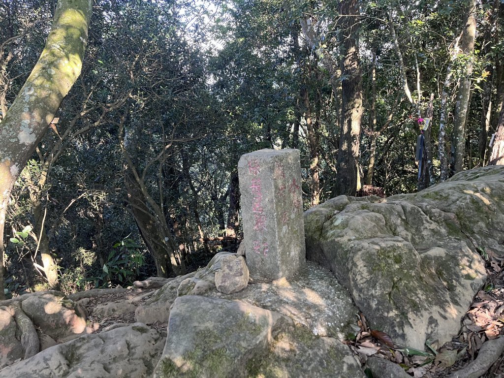 [森遊竹縣-10A/10] 2023_1112 東獅頭山_2347222