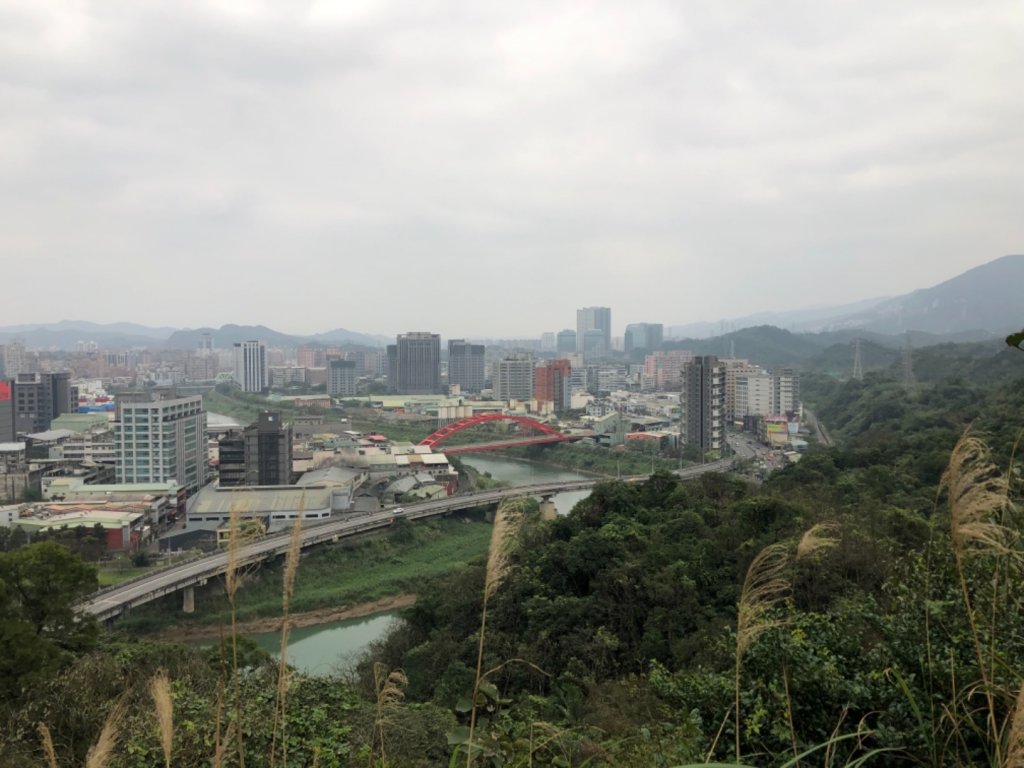 新北市汐止區小南港山3-828賞山櫻花_2010193