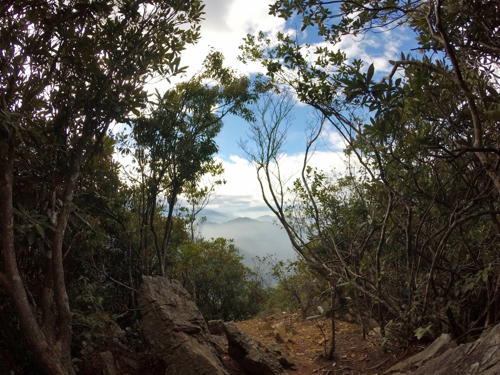 刺激鳶嘴山_261635