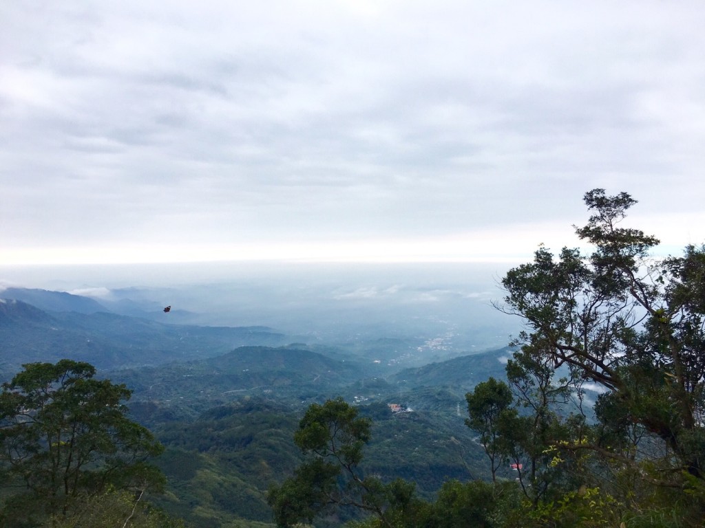 台南第一高山大凍山_240788