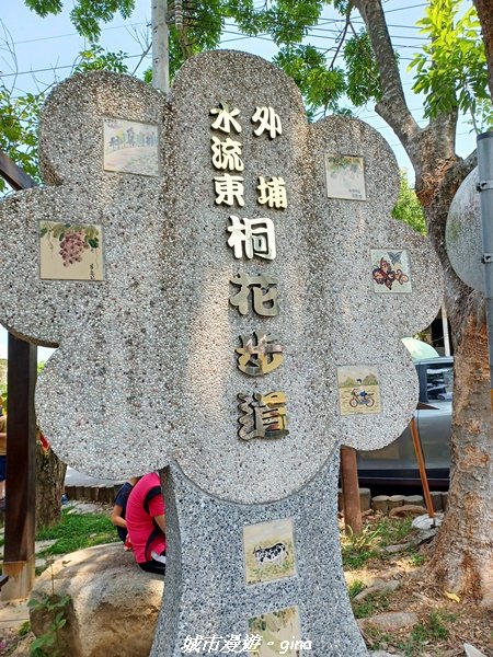 【台中外埔】高鐵觀景台、綠樹成蔭下賞桐花。 外埔水流東桐花步道_2136870