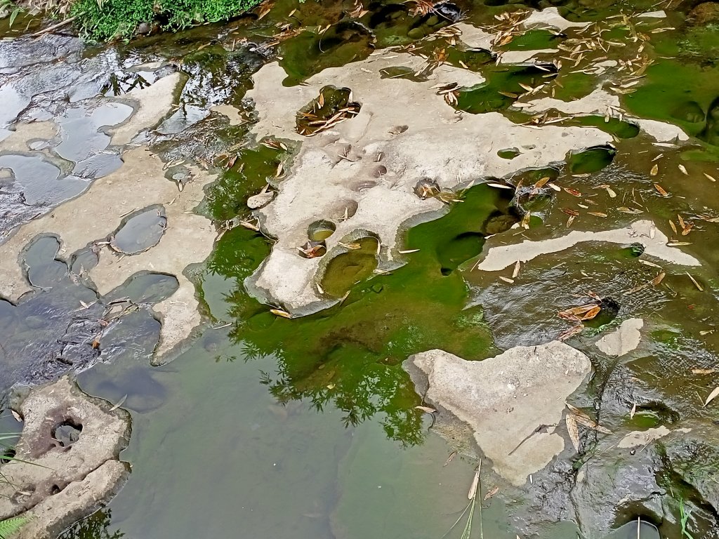 【新北-臺灣百大必訪步道】流水淙淙的三貂嶺瀑布群步道_1455471