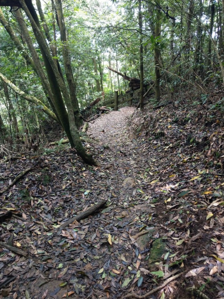 馬那邦山（天然湖起登）_1019710