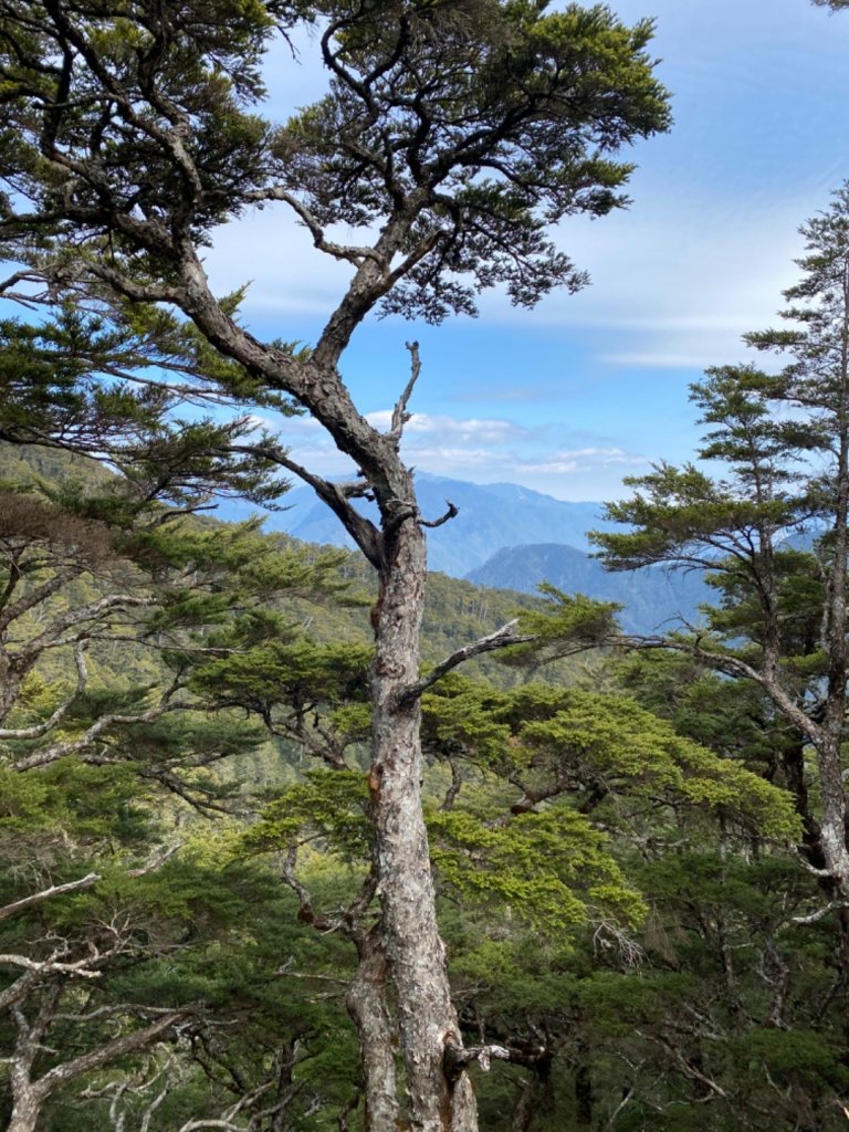 一日單攻白姑大山_821427