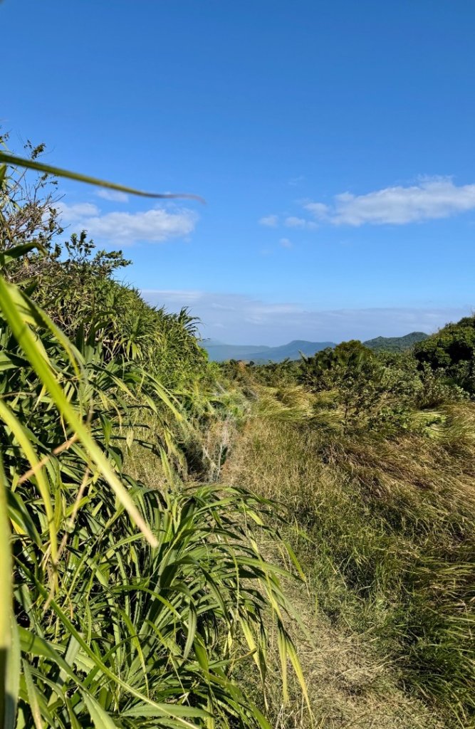 恆春縱走:鎮南宮-赤牛嶺-大山母山(小百岳#81)-南灣出 走讀恆春古城_2964370