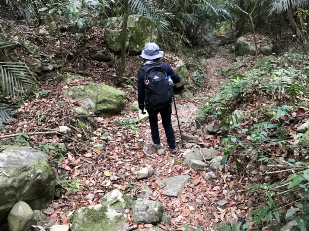 德芙蘭步道環走東卯山_565718