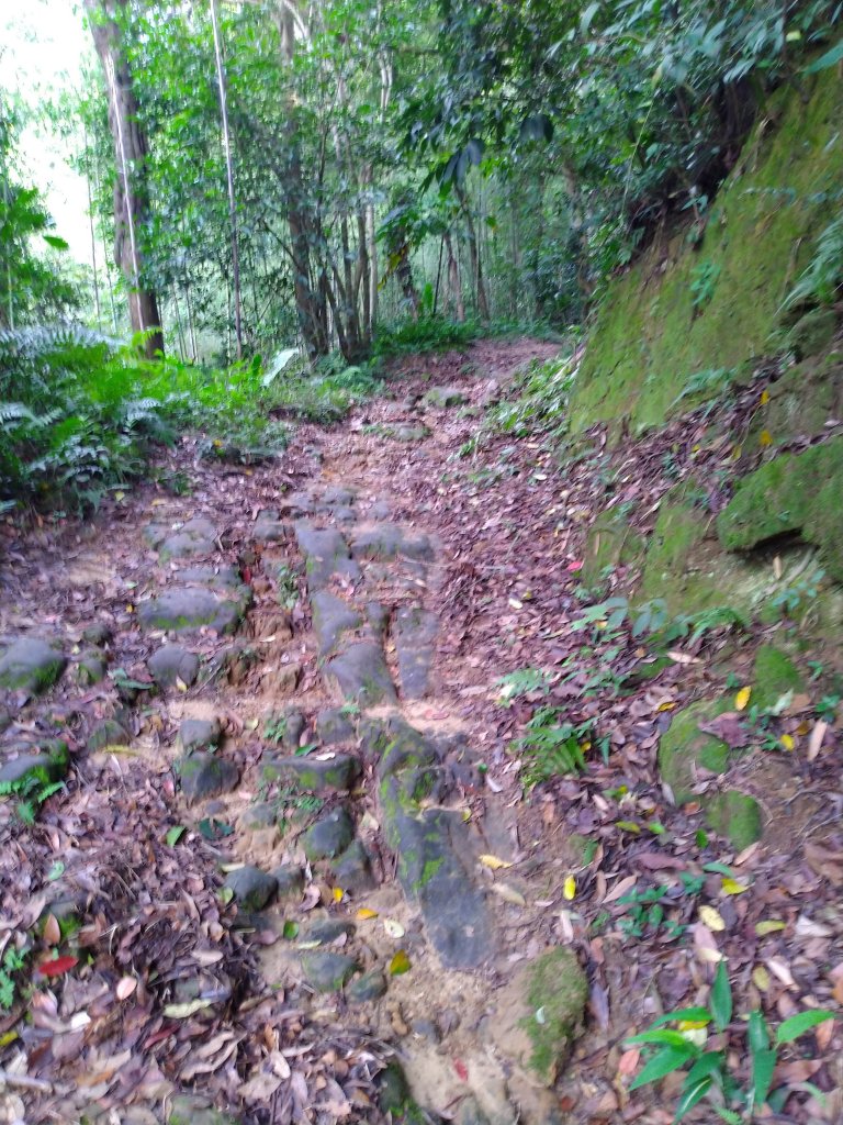 三義 挑柴古道_977126