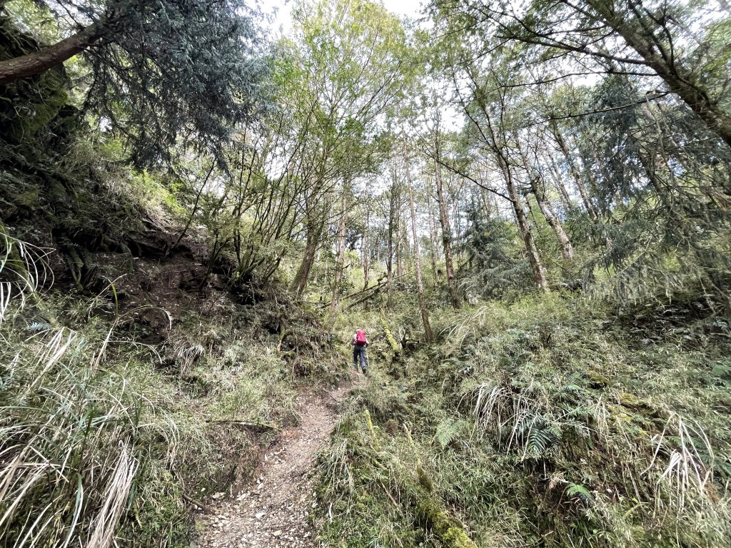 魔幻森林三星山與三星池_1658271