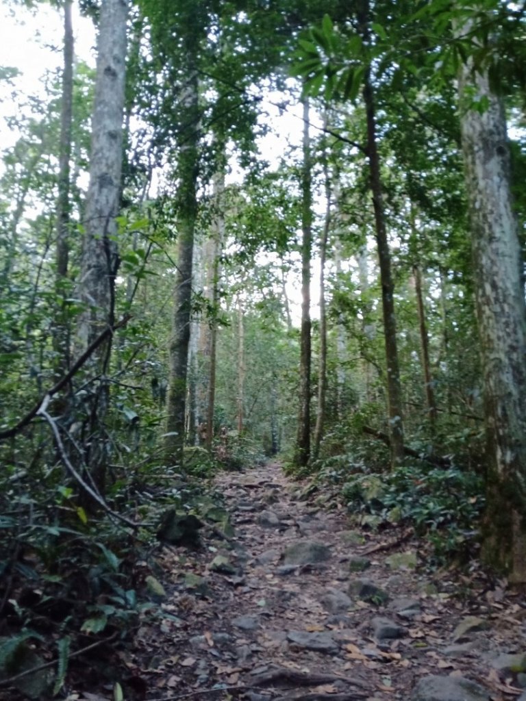 一日雙雄之馬崙山_1872387