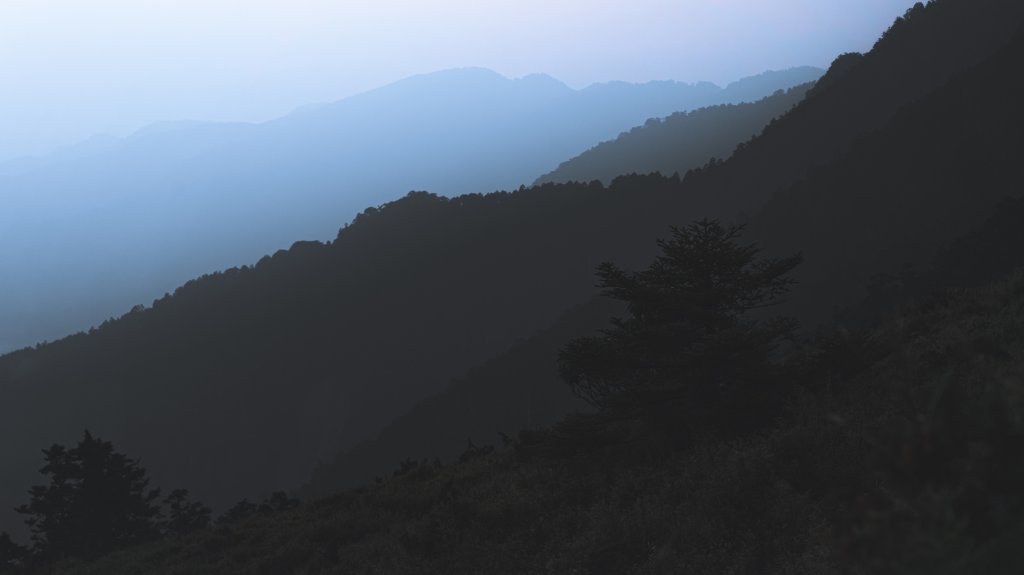 Mt.Dabajian -白霧大霸_914634