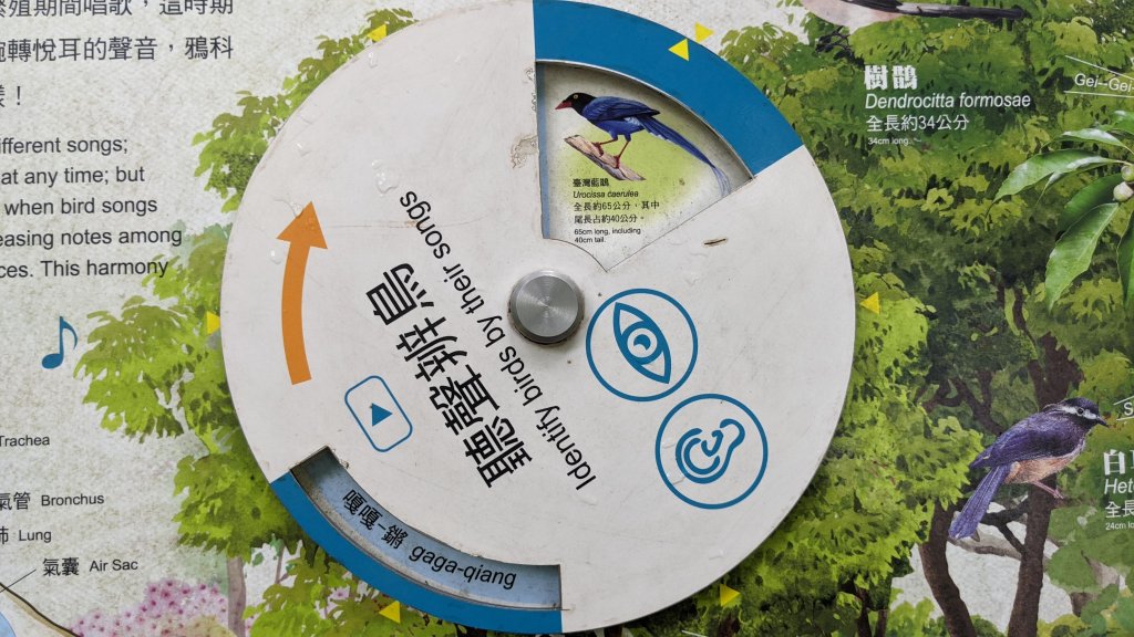 白石安東軍高山湖泊草原，空靈幽靜。_1756659