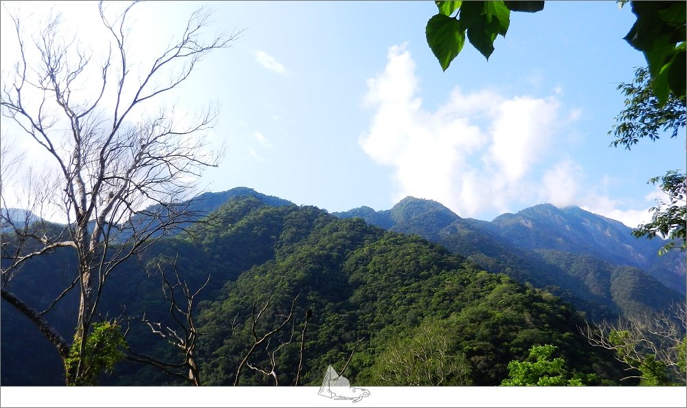【登山健行│花蓮秀林】健行旅記，錐麓古道_965435