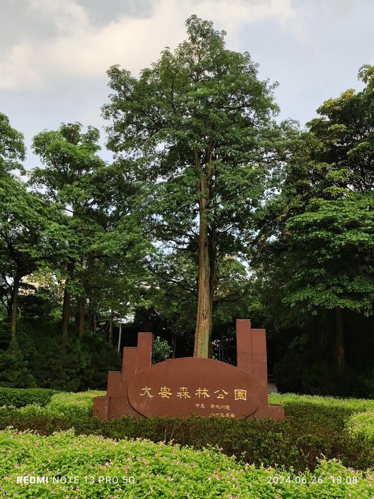 大安森林公園、寧夏夜市、士林夜市【走路趣尋寶】【臺北健走趣】_2536347