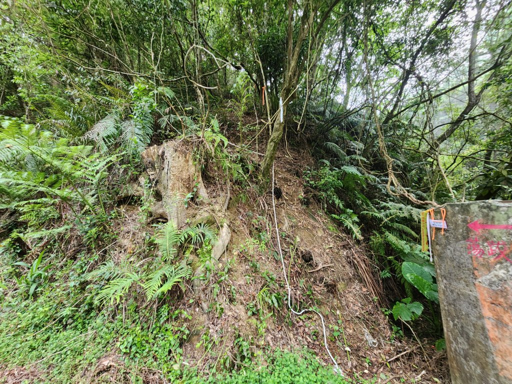 20250419蕩跋山劉家界山老社寮山新富山_2936203