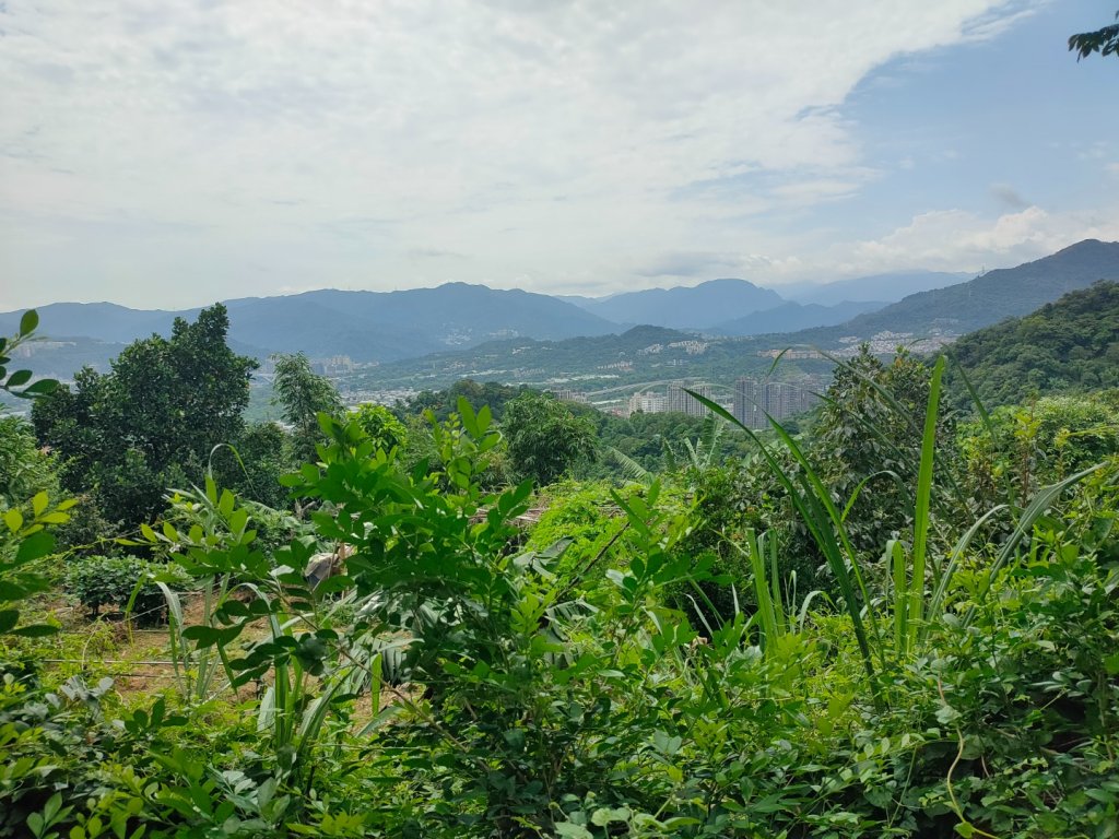 ［圓通寺烘爐地環山步道連走］（外挖子山,光明頂,南勢角山,青春嶺,國旗嶺）（2023/8/9）_2245028