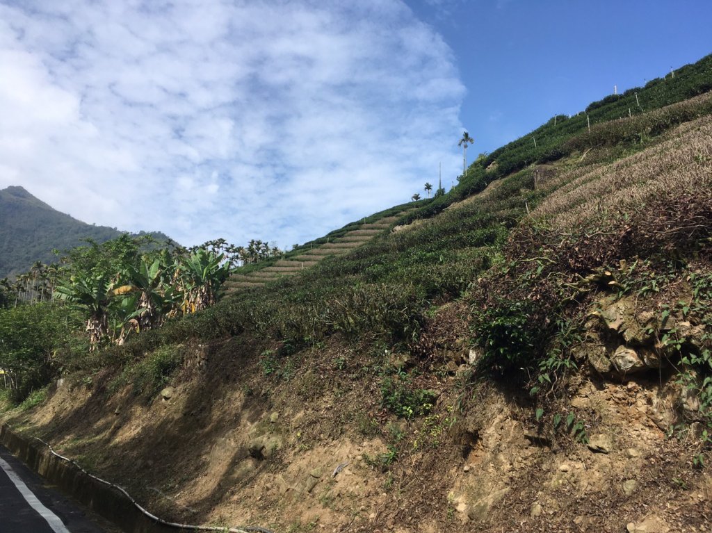 210501衝居父女同遊大尖山_1369166