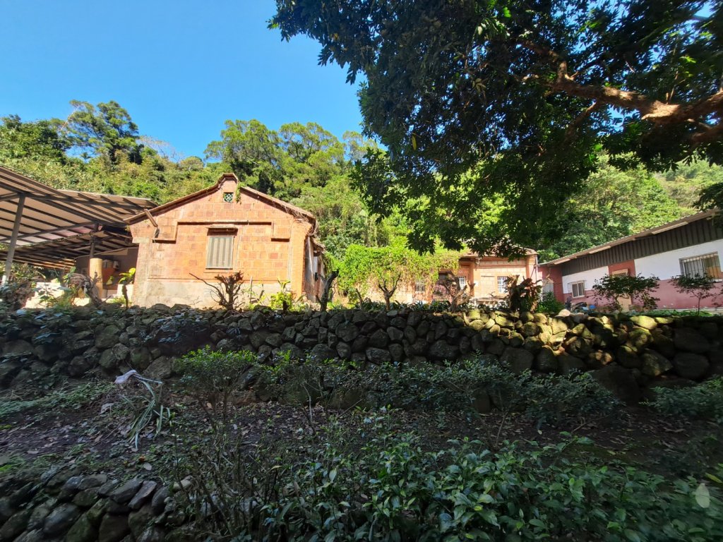 20240201故宮-狗殷勤古道-平菁街賞櫻-溪山百年水圳步道-平菁步道_2458404