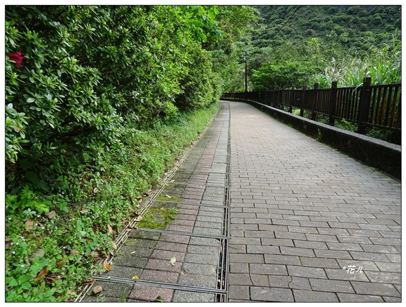 報時山步道(新北-瑞芳)_2103581