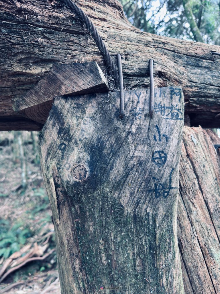 松鶴上八仙_2653181