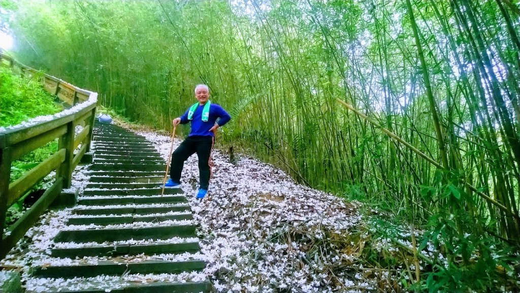 十二寮登山步道_937541