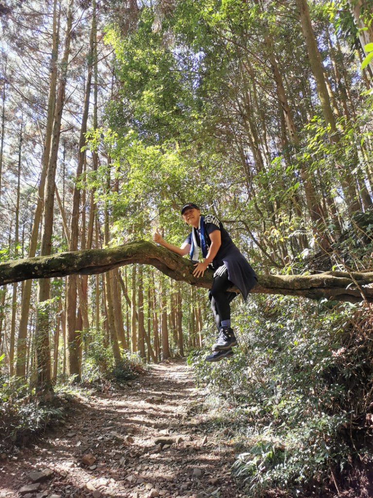  長壽山封面圖