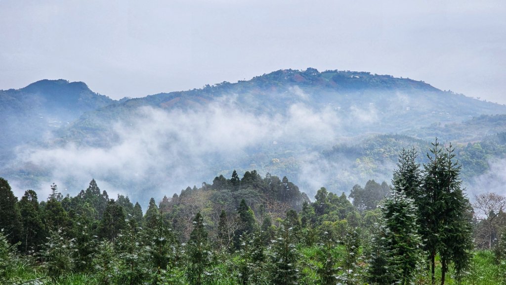 112.04.08 油羅山_2123541