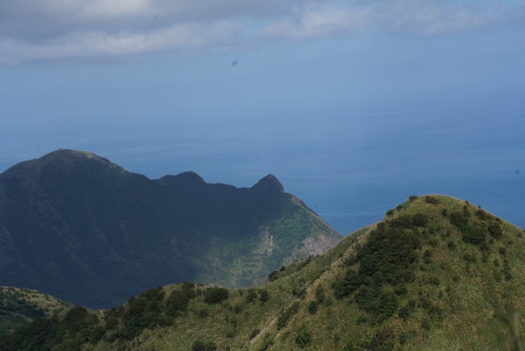 【金瓜石】漫山芒花怒放浪漫，礦山藍海奇景夢幻！_2964308
