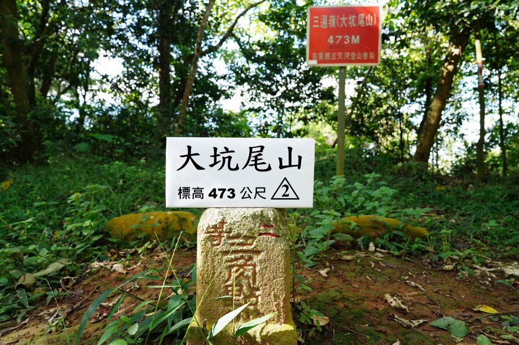 苗栗 長潭坑山、大坑尾山、三角山、雙峰山_2598378