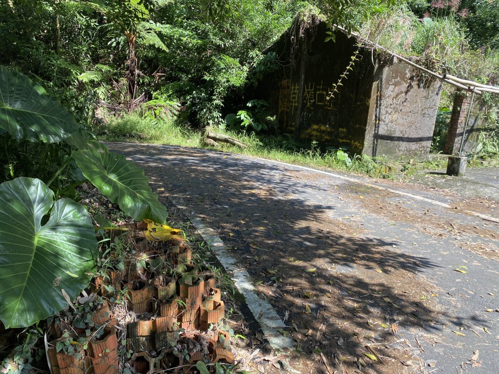 1111112新北市草嶺古道_2673022