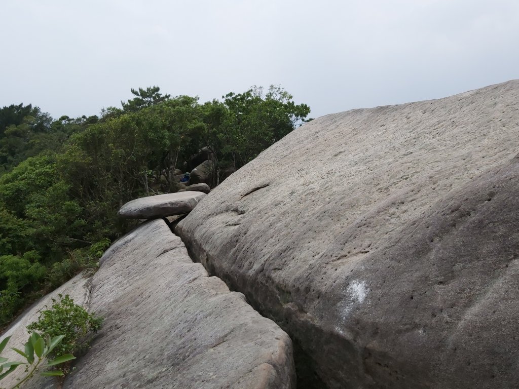 【北市-內湖】龍船岩郊山山徑O型亂亂走_964752