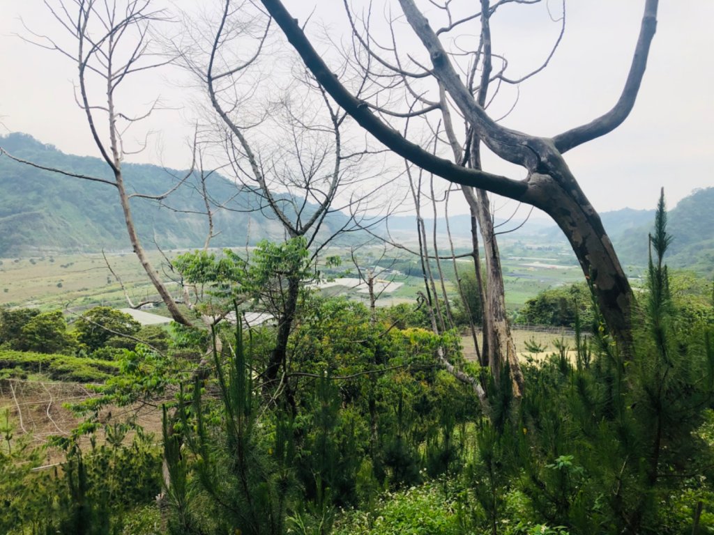 1090411大克山_913926